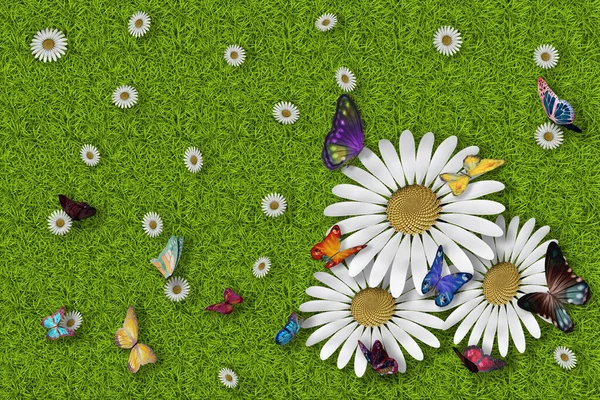Ilustração Verão Primavera Flores Borboletas Textura Grama Verde Campo Grama — Fotografia de Stock
