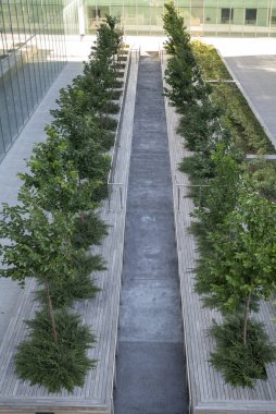 Mimarlık. Ekolojik olarak sürdürülebilir bir şehir. Kentsel bir yapıda bitkiler ve yeşillik.