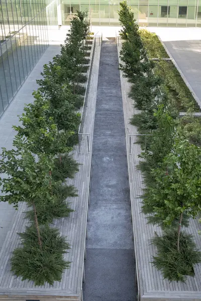 Mimarlık. Ekolojik olarak sürdürülebilir bir şehir. Kentsel bir yapıda bitkiler ve yeşillik.