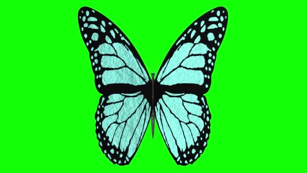 Videos Illustration Colorful Butterfly Flies Open Wings Chroma Key Background — Stock Video