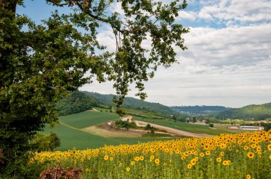 Monferrato, Piedmont, Italy - July 19, 2021