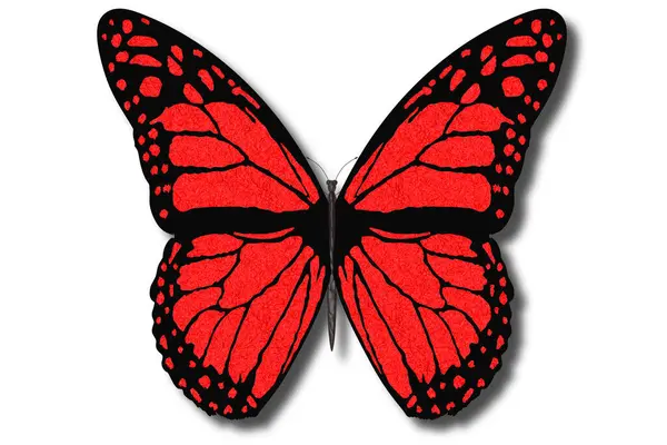 Ilustración Mariposa Colorida Vuela Con Alas Abiertas Sobre Fondo Blanco Imagen de archivo