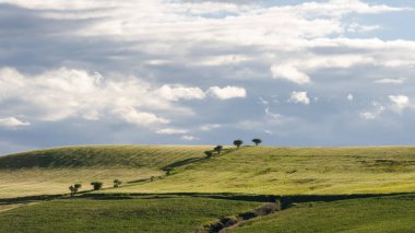 Alta Murgia, parkın manzarası çayır, mavi gökyüzü, bulutlar, çiftlik evleri. İtalya 'nın Puglia kentindeki yeşil tepelerin Horizon' u.