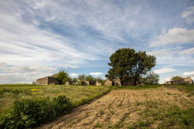 Alta Murgia, parkın manzarası çayır, mavi gökyüzü, bulutlar, çiftlik evleri. İtalya 'nın Puglia kentindeki yeşil tepelerin Horizon' u.
