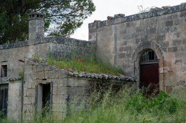 Alta Murgia, Puglia, İtalya. Eski bir evin yakın çekimi, bir harabe, arka planda bulutlar ve gökyüzü olan uzun çimenlerin ve ağaçların arasında terk edilmiş..