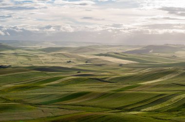 Alta Murgia, parkın manzarası çayır, mavi gökyüzü, bulutlar, çiftlik evleri. İtalya 'nın Puglia kentindeki yeşil tepelerin Horizon' u.