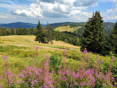 Dağlarda güzel bir manzara