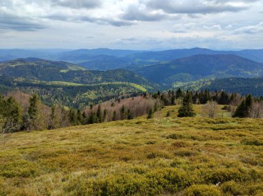 Sonbahar dağlarını seyret