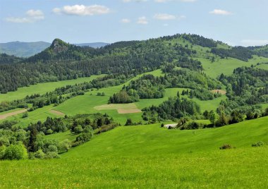 Polonya ve Slovakya 'daki Pieniny Ulusal Parkı