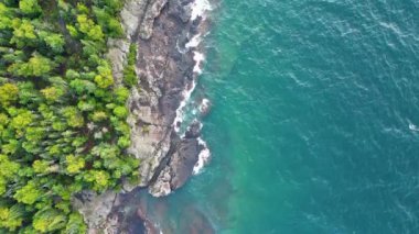 Yeşil ağaçları ve mavi suyu olan kayalık bir sahil..
