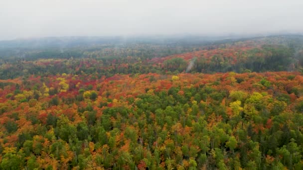 Indah Oranye Dan Merah Hutan Musim Gugur Lutsen Minnesota — Stok Video
