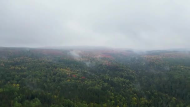 Ködös Őszi Erdő Lutsen Minnesota — Stock videók