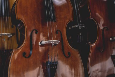 Satmak için perakende mağazasında kemanlar asılı.