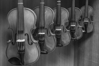 black and white picture of multiple violins hanging on the wall clipart