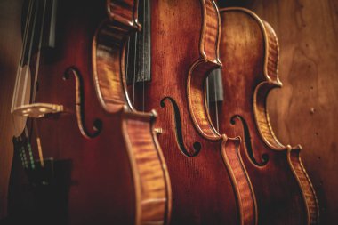 Row of multiple violins hanging on the wall clipart