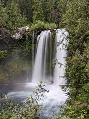Oregon 'daki McKenzie Nehri' ne Görkemli Sahalie Şelaleleri