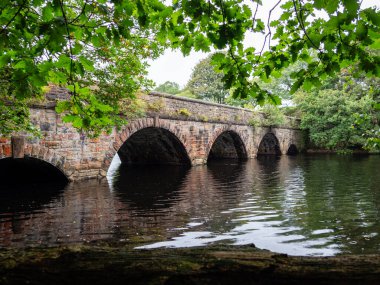 Yavaş akan nehrin karanlık sularını kaplayan eski bir taş köprü inşa etti. Ağaçlar asılıydı, ceset yoktu.
