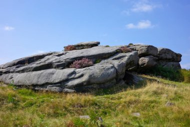Hathersage Moor Derbyshire UK 'de. Açık mavi gökyüzünün altında çimenli kırlarda büyük kayalık çıkıntılar.