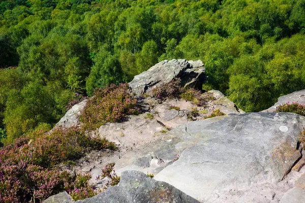 stock image Hathersage moor Derbyshire UK. Scenic view from a rocky cliff overlooking a dense forest on a sunny day.