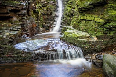 Tigers Clough şelalesi yemyeşil bir ormanda yosun kaplı kayalardan aşağı dökülüyor. Rivington Lancashire İngiltere.