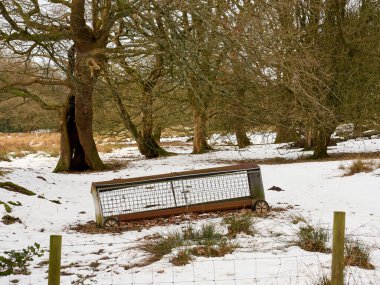 Paslı, yosun kaplı, ağırlıklı çim ve toprak silindirli, kışın ağaçlık arazide terk edilmiş..