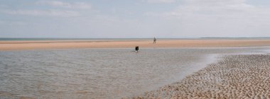 Sahibi olan yalnız bir köpek, engin açık gökyüzü olan sakin, kumlu bir plajda yürüyor..