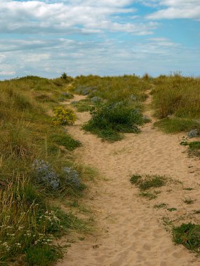 Bulutlu bir gökyüzünün altındaki kumlu kumulların arasından geçen kumlu yol. Conwy Kuzey Galler.