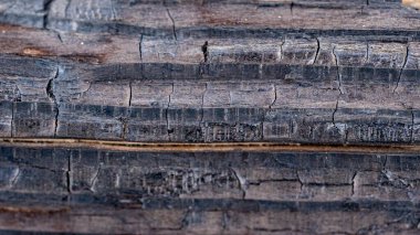 Tahta arka plan. Soyut ahşap doku. Ahşap doku. eski ahşap yüzey