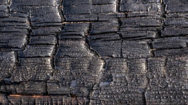 Tahta arka plan. Soyut ahşap doku. Ahşap doku. eski ahşap yüzey