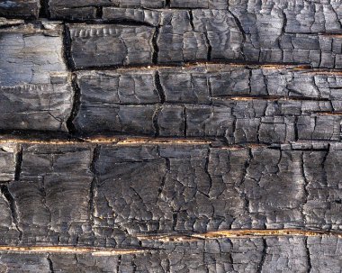 Tahta arka plan. Soyut ahşap doku. Ahşap doku. eski ahşap yüzey