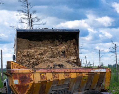 Ordu, arka plan, dikenli, bariyer, mavi, sınır, sınır, sınır, kamp, tehlike, savunma, çit, orman, yeşil, koruma, demir, metal, askeri, doğa, hapishane, koruma, koruma, güvenlik, güvenlik, keskin, çelik, sembol, savaş, tel
