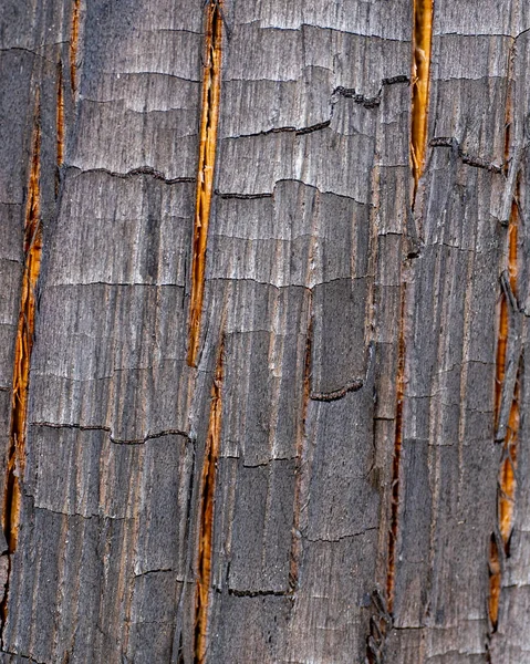 Houten Plank Achtergrond Abstracte Houttextuur Hout Textuur Oud Houten Oppervlak — Stockfoto