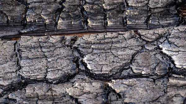 木製のバックグラウンド 抽象的な木の質 木質のテクスチャ 古い木の表面 — ストック写真