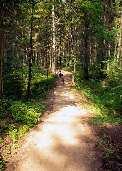Ścieżka Lesie Piękne — Zdjęcie stockowe