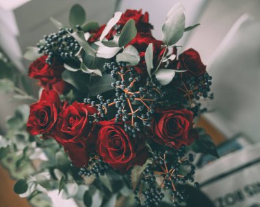 Koyu arkaplanda su damlası olan kırmızı gül