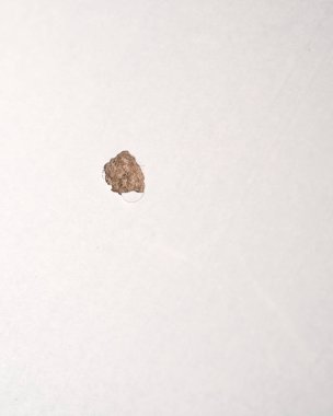 Bir parça çikolatalı kekin kahverengi rengi