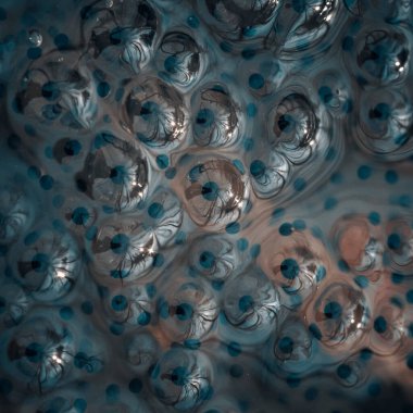 yaratıcı arka plan kopya alanı ile