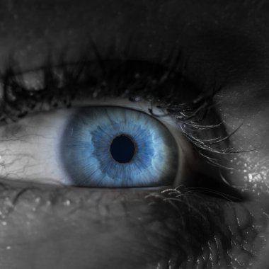 insan gözünün makro fotoğrafı