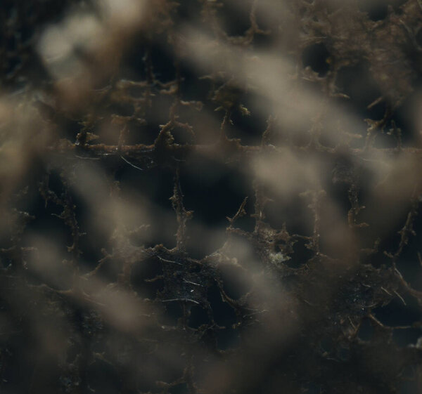 закрытие треснувшей поверхности.