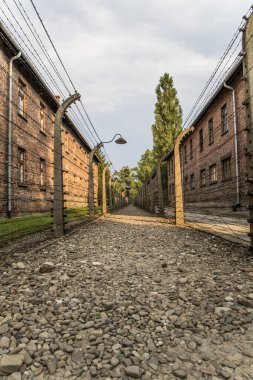 Auschwitz, Poland- 16 Temmuz 2023: Auschwitz-Birkenau toplama kampı Polonya