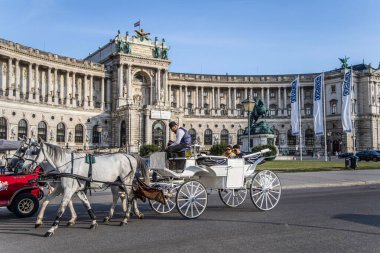 Viyana, Avusturya - 7 Temmuz 2023: Hofburg Sarayı St. Michael Meydanı Michaelerplatz