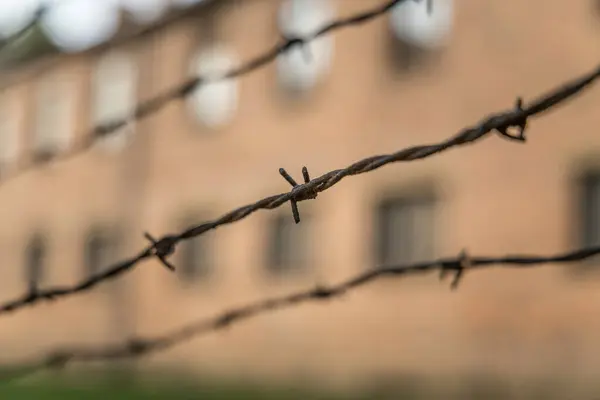 Auschwitz Poland July 2023 Barbwire Fence Auschwitz Concentration Camp Museum — Stock Photo, Image