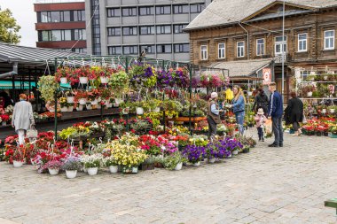 Liepaja, Letonya - 7 Temmuz 2023: Kasaba merkezindeki çiçek standı.