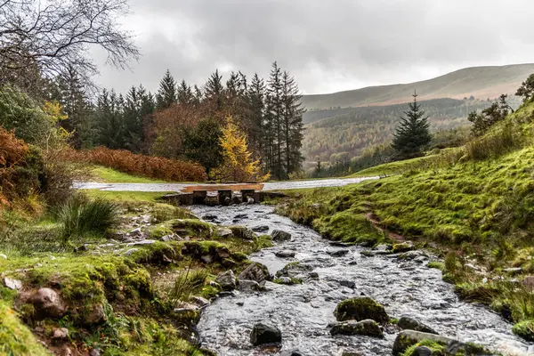 Brecon Beacons Blaen y Glyn Isaf Nehri ve şelale yürüyüşü.