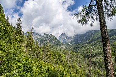 Mountains in High Tatras National Park, Slovakia.