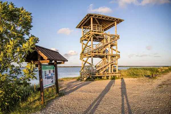 Liepaja At Adası Kuş Gözetleme Kulesi. Liepaja zirgu sala