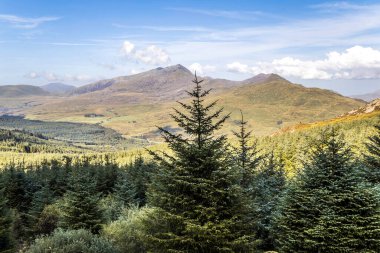 Snowdonia Ulusal Parkı, Moel Hebog 'dan Snowdon' a bakıyor..