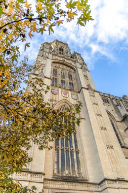 Bristol, İngiltere - 11 Kasım 2023: The Wills Memorial Building parkın tepesindeki Bristol Üniversitesi 'nin bir bölümü.