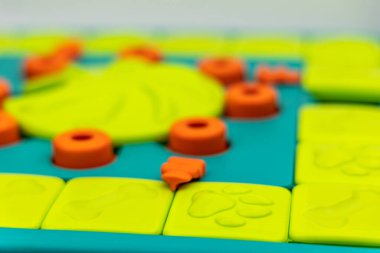 Köpek oyunu bulmaca besleme oyunu köpek maması için çalışıyor..