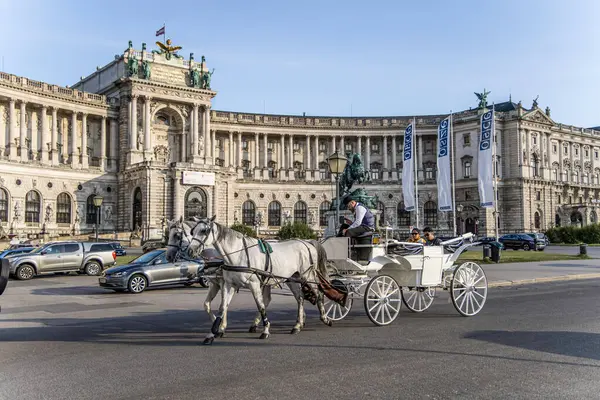 Viyana, Avusturya - 7 Temmuz 2023: Hofburg Sarayı St. Michael Meydanı Michaelerplatz.